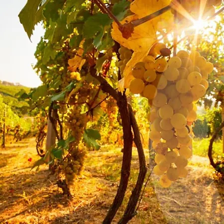 Hypercentre Château-thierry Aux Portes De Paris Et De La Champagne *