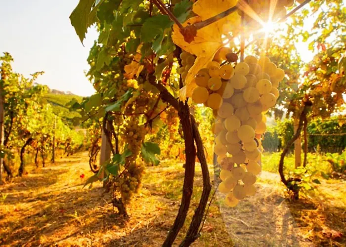 Hypercentre Aux Portes De Paris Et De La Champagne *